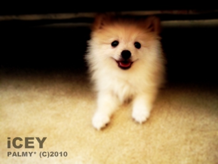 3899dfe821816fbcb3db3e3b23f81585_L