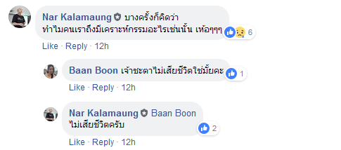 สิงห์นภดล 11-9