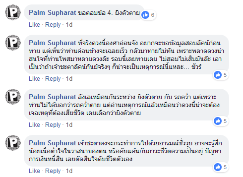 สิงห์นภดล 8-2